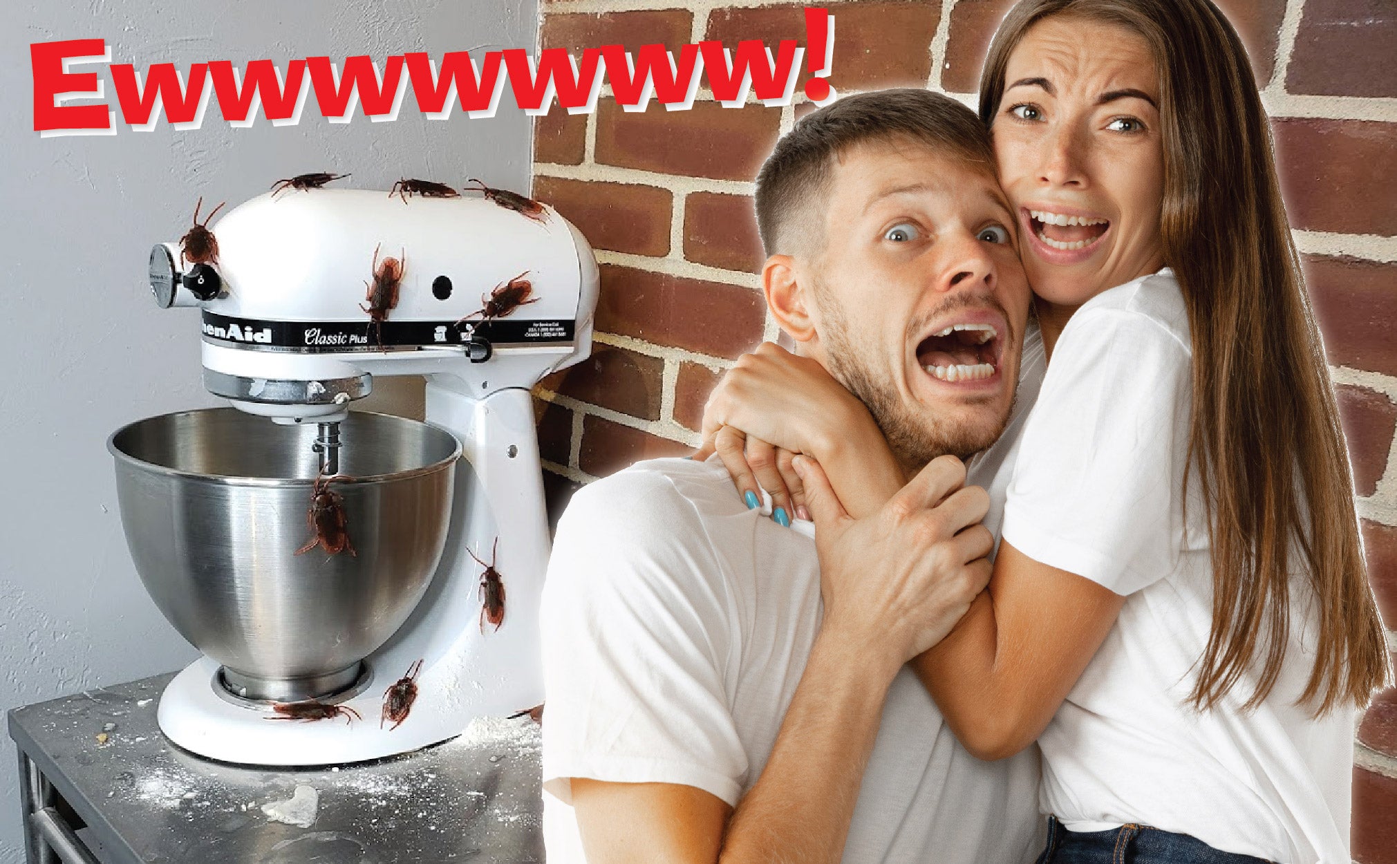 12 x Fake Roaches - Bag of Cockroaches That Look Real - Realistic Plastic Bugs