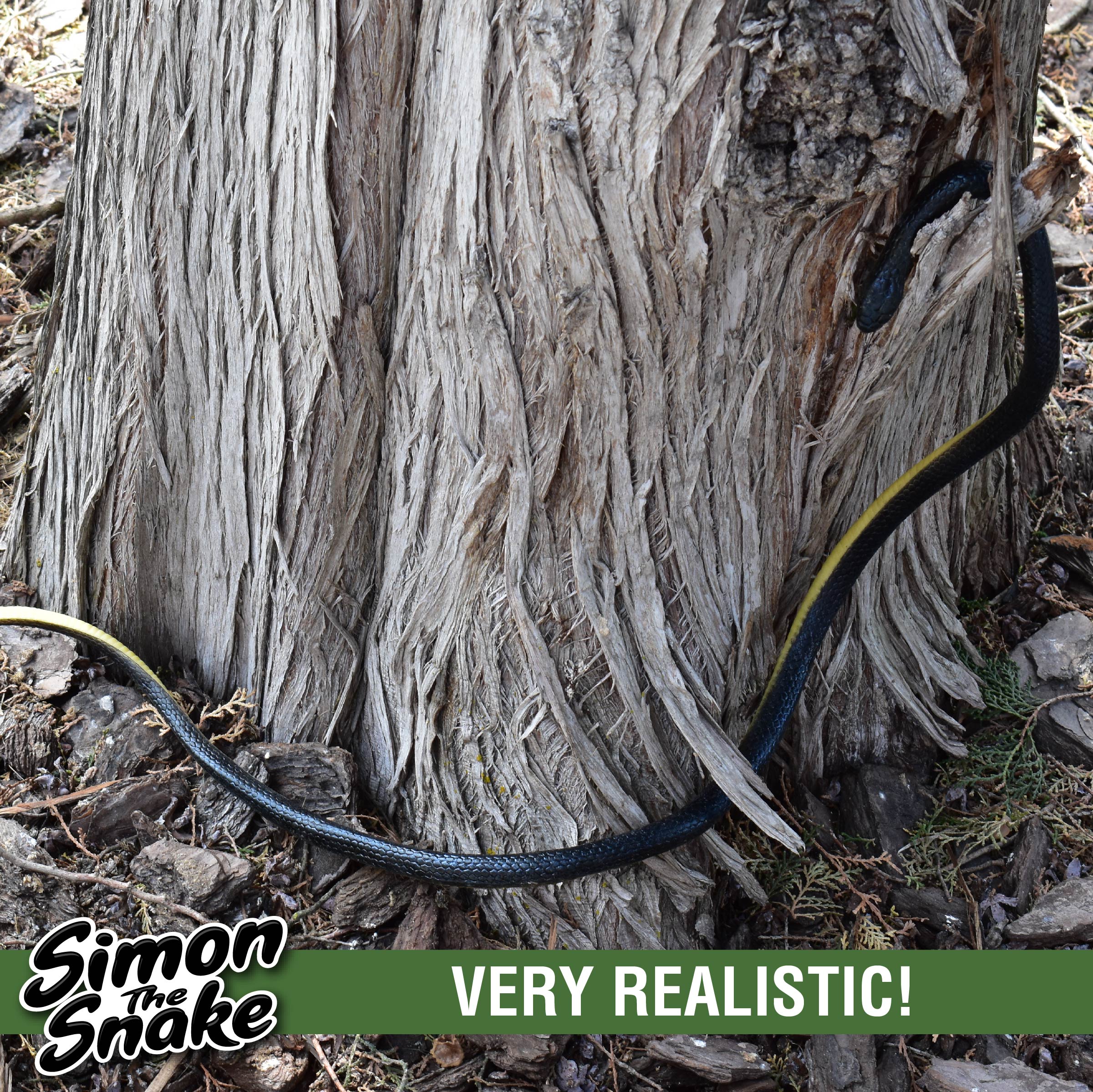 Simon The Snake - Realistic Rubber Fake Snake