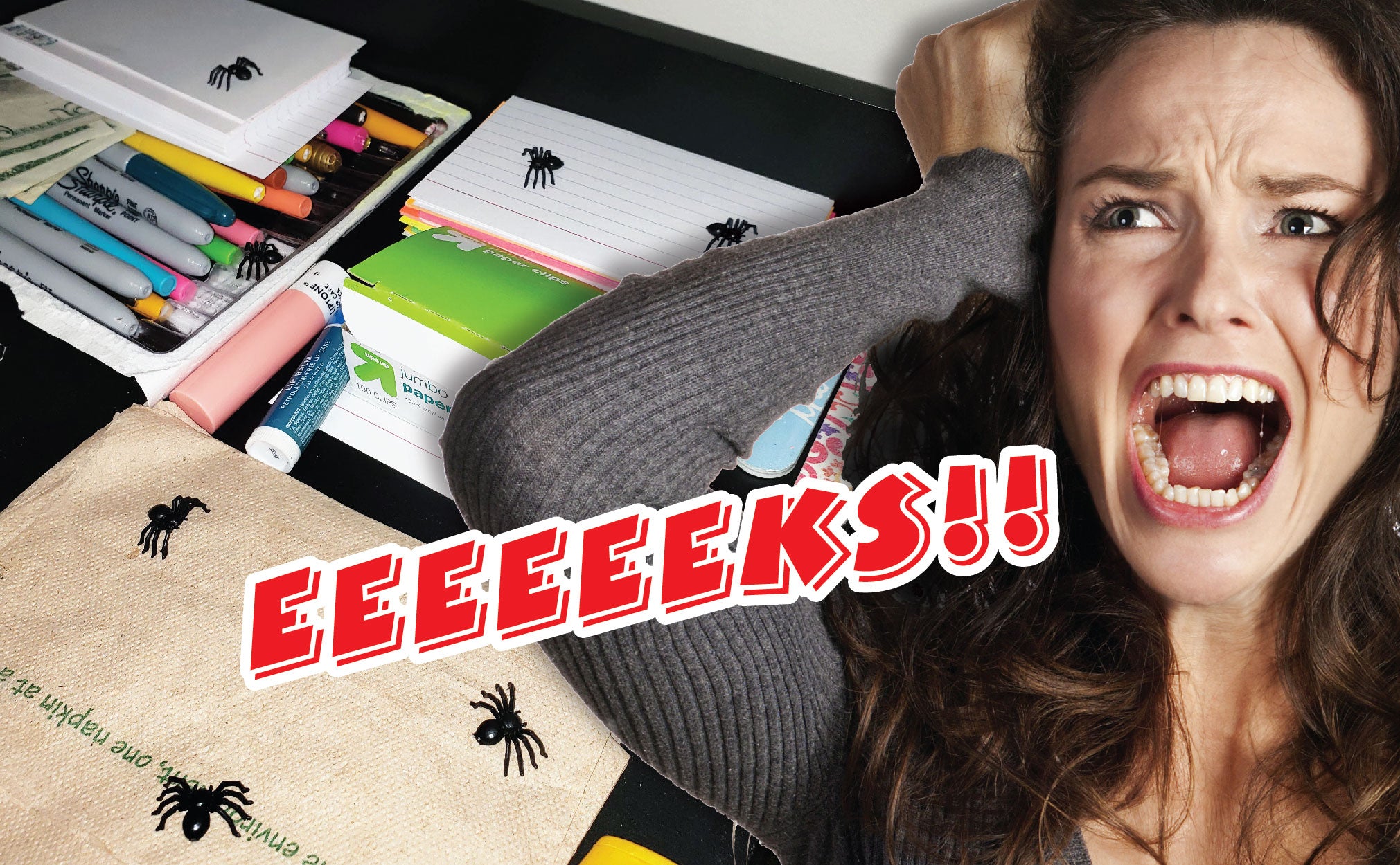 18 x Fake Plastic Spiders