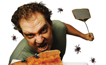 10 x Fake Flys - Realistic Little Plastic Flies