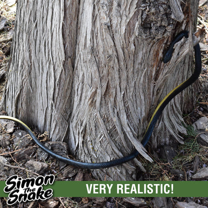 Simon The Snake - Realistic Rubber Fake Snake