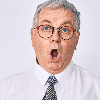 10 x Fake Flys - Realistic Little Plastic Flies